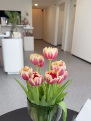 -JNK皮肤管理中心