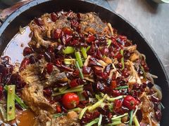 -老板恋上鱼(恒隆广场店)