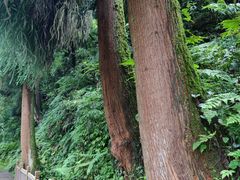 -瓦屋山景区