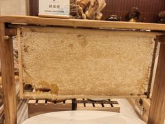 -唐山河头老街国丰维景国际大酒店