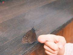 -上海自然博物馆