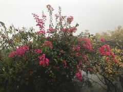-广州市白云山风景名胜区