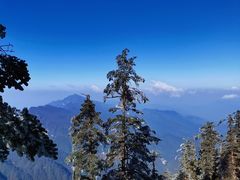 -瓦屋山景区