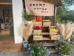 -DORA kids 朵拉儿童摄影花园店
