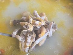 -15年老字号鑫鑫猪肚鸡·椰子鸡海南火锅(兴隆华侨农场店)