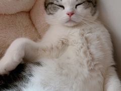 -新银座水汇(罗湖店)