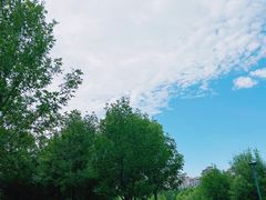 -马家湾湿地公园
