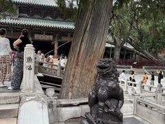 -晋祠公园