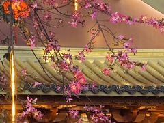 -大佛古寺