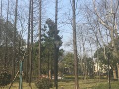 -徐家汇源景区-衡山公园