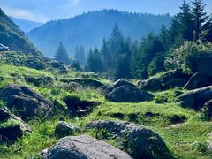 -芦芽山旅游度假区