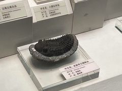 -天津自然博物馆