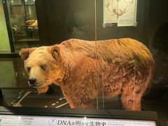 -东京国立博物馆