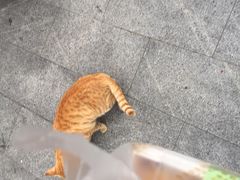 -上海财经大学-新食堂