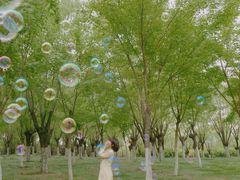-洨河生态公园