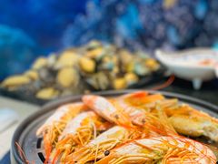 阿根廷红虾-乔哥铭洋海鲜自助(皇城恒隆广场店)