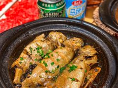 -邹开喜·炭炉鸡煲·海鲜火锅(虹口足球场店)