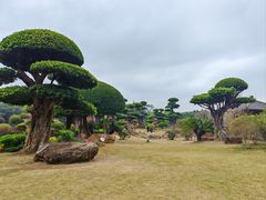 -南宁南湖公园