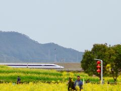 -光明小镇欢乐田园