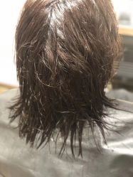 -Mentor Hair Salon