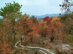 -塔川景区