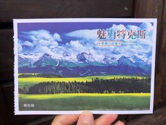 -特克斯八卦城