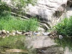 -碓臼峪自然风景区