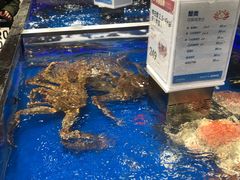 -盒马鲜生(财富中心店)
