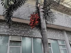 -华南师范大学(广州大学城校区)