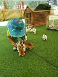 -萌宠亲子动物乐园(槐房万达店)