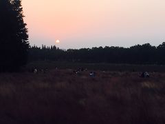 -艾溪湖湿地公园