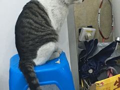 -无招牌
