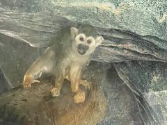 -鄂尔多斯野生动物园