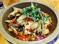 黑鱼-巴乡石锅鱼(密云店)