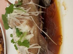 清蒸东星斑-东来顺饭庄
