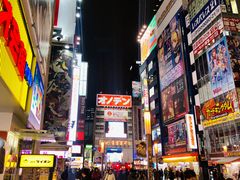 -秋叶原电器街