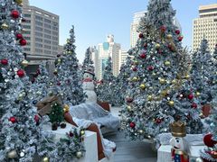 -城市露台景观餐厅(淮海路店)