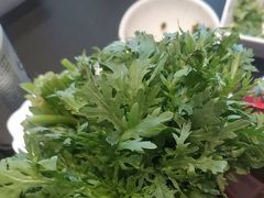 -南门四季铜锅涮肉(大屯·北苑店)