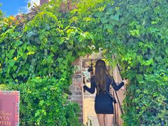 -The Grounds of Alexandria