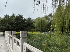 -北坞公园
