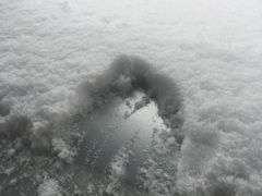 -龙隆昌·鲜品火锅·江湖烤鱼
