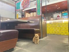 -肥仔文澳门猪骨煲(南京西路店)