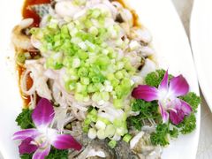 -轩记海鲜餐厅·四十五年老字号·经典粤菜(西区彩虹店)