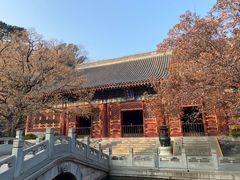 -香山公园