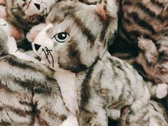 -宜家家居(哈尔滨商场店)