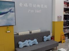 -瑞派·爱瑞可动物医院·口腔专科(广华新城分院)