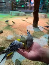 -酷嗒动物文化乐园(cutezoo西溪乐天城店)