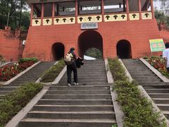 -东莞市大岭山森林公园