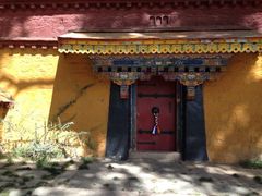 iphone_upload_pic-罗布林卡