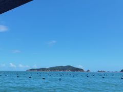 -渔寮风景区